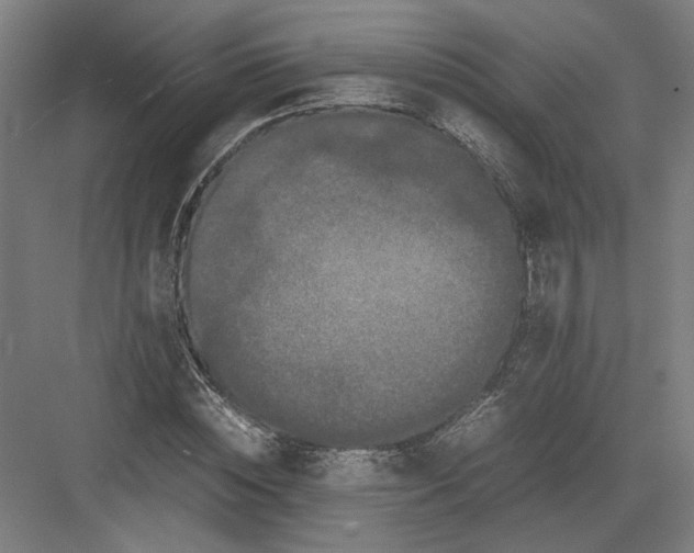 X0000082200828200702092359