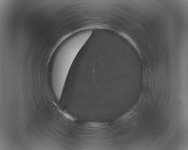 X0000082200829200702092359