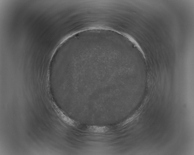 X0000082200831200702092359