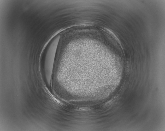 X0000082200835200702092359