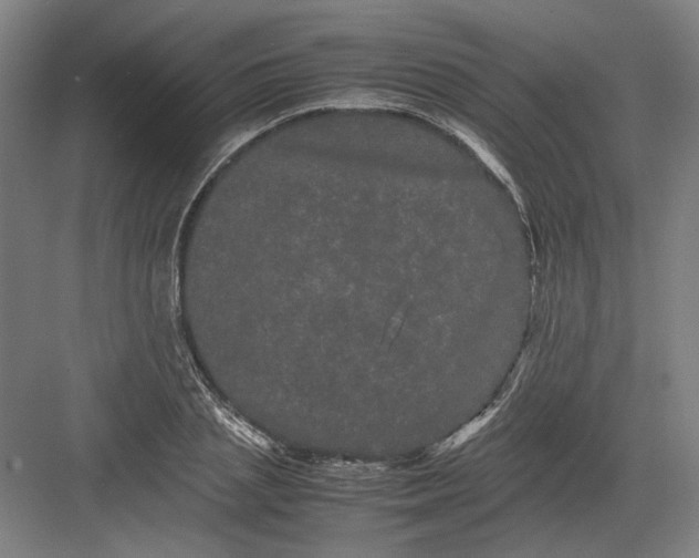 X0000082200837200702092359