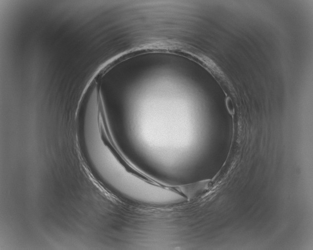 X0000082200838200702092359