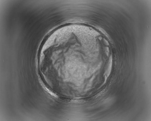 X0000082200840200702092359