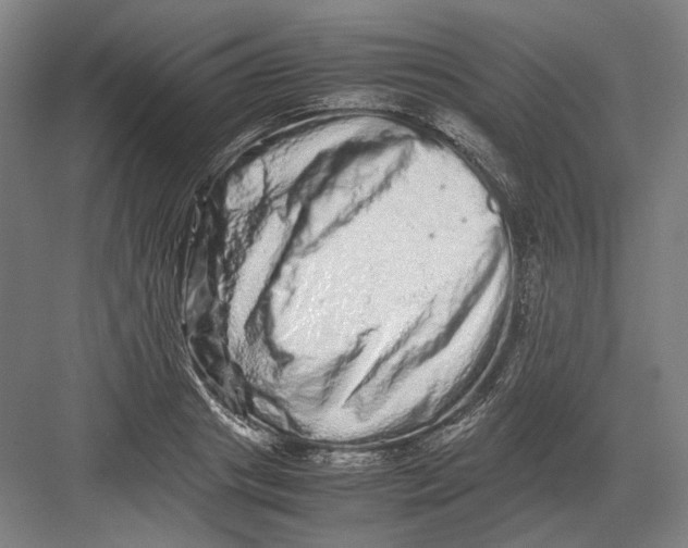 X0000082200841200702092359