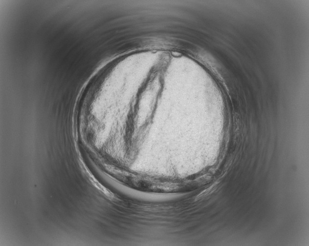 X0000082200843200702092359