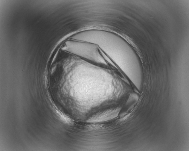 X0000082200846200702092359