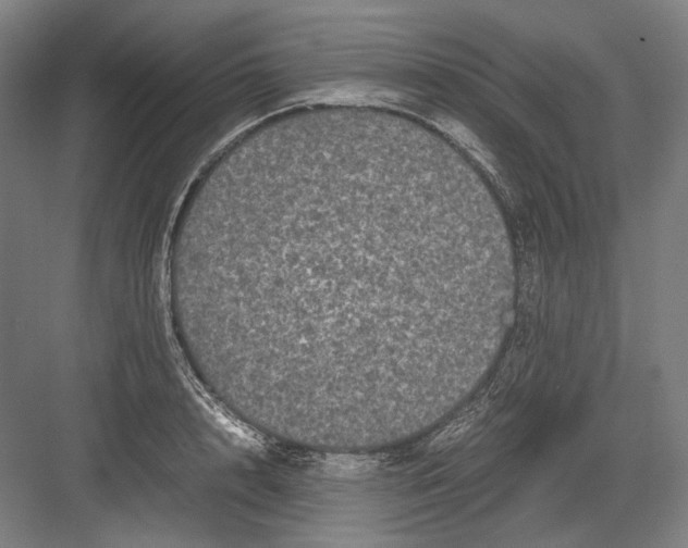 X0000082200848200702092359