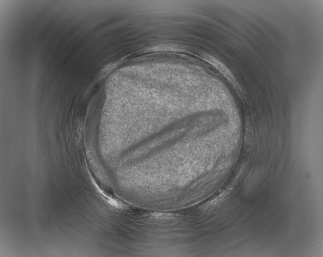 X0000082200849200702092359