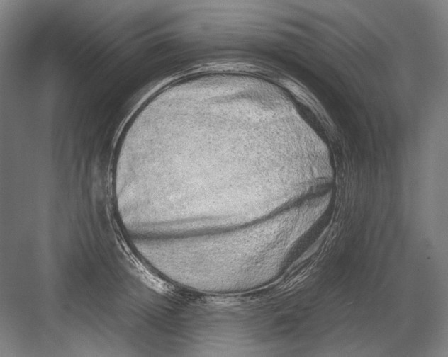 X0000082200852200702092359