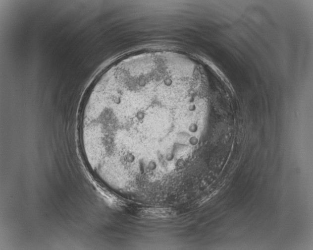 X0000082200853200702092359