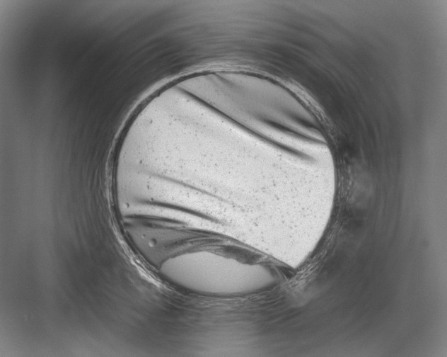 X0000082200854200702092359