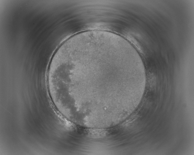 X0000082200856200702092359