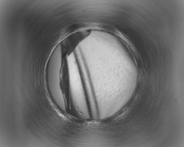 X0000082200858200702092359