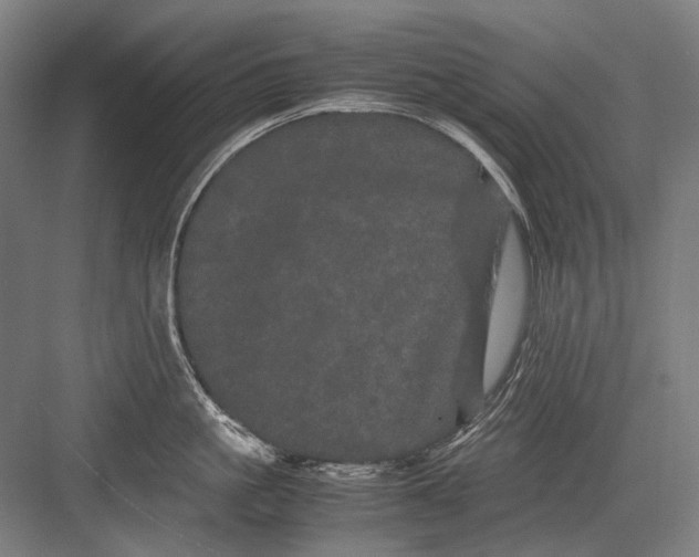 X0000082200861200702092359