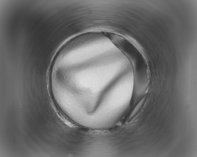 X0000082200862200702092359