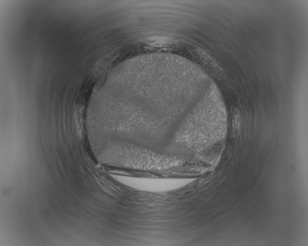 X0000082200868200702092358