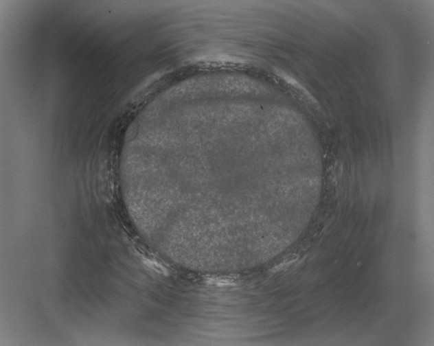 X0000082200870200702092358