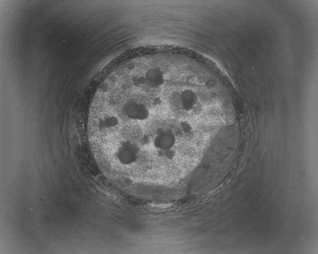 X0000082200871200702092358