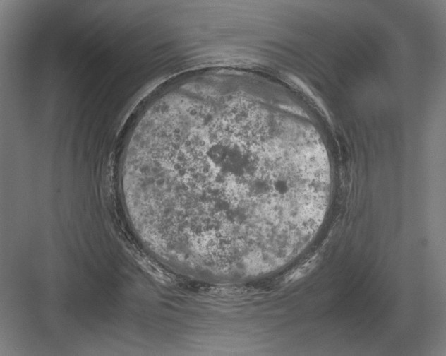 X0000082200875200702092358