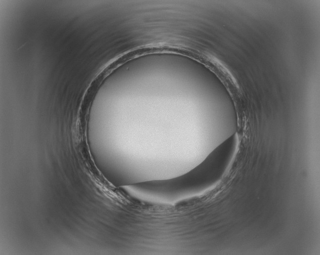 X0000082200876200702092358