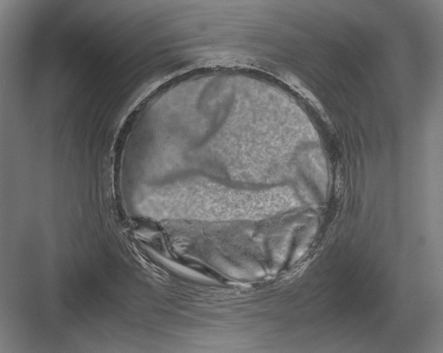 X0000082200877200702092358