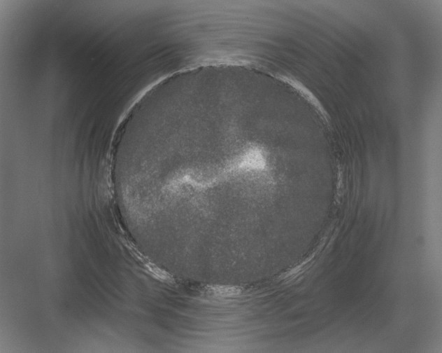 X0000082200878200702092358