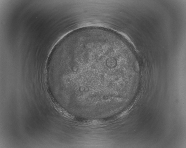 X0000082200879200702092358