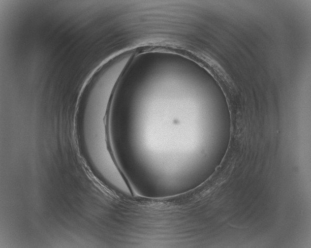 X0000082200880200702092358