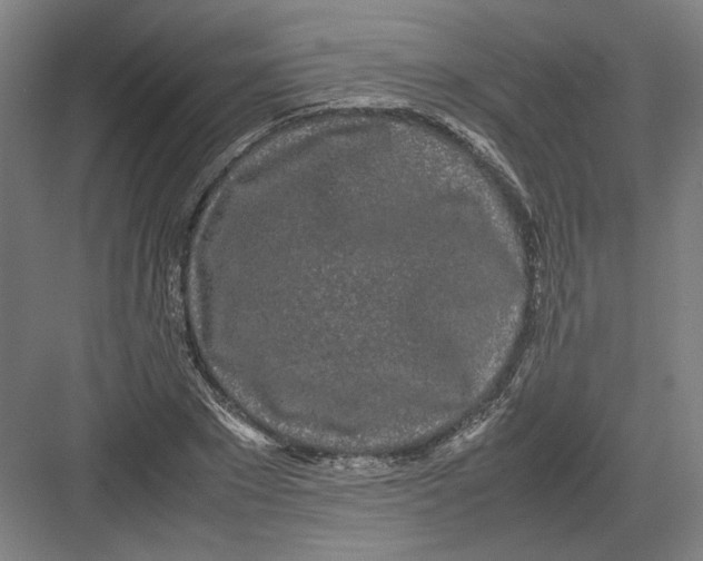 X0000082200881200702092358