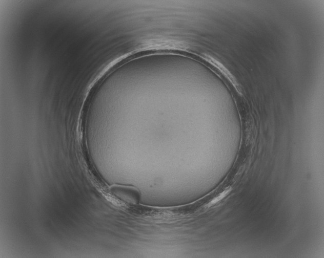 X0000082200885200702092358