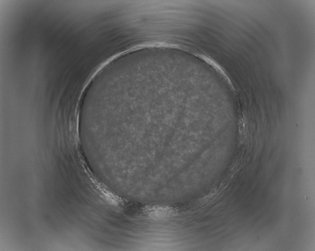 X0000082200886200702092358