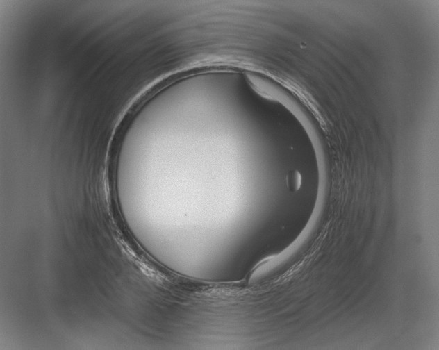 X0000082200888200702092358