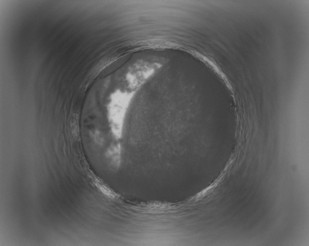 X0000082200889200702092358