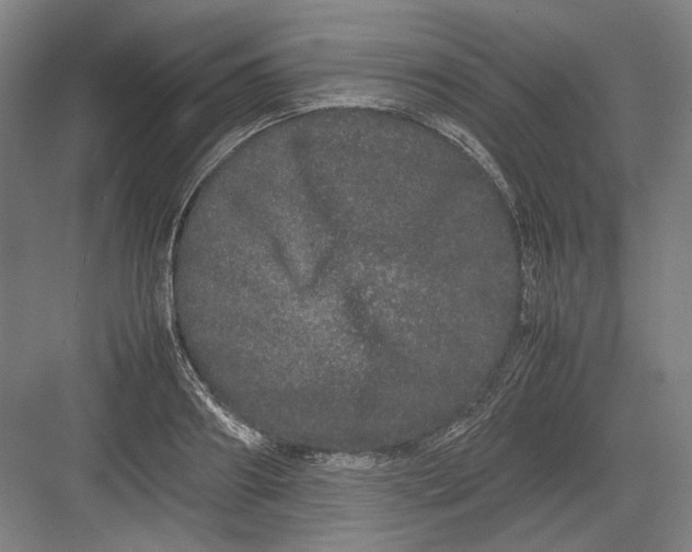 X0000082200890200702092358