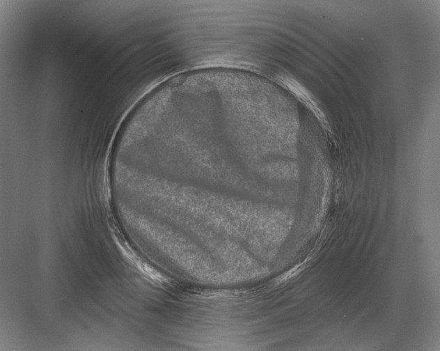 X0000082200892200702092358