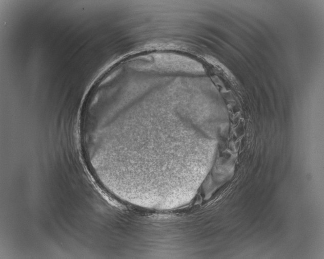 X0000082200894200702092358