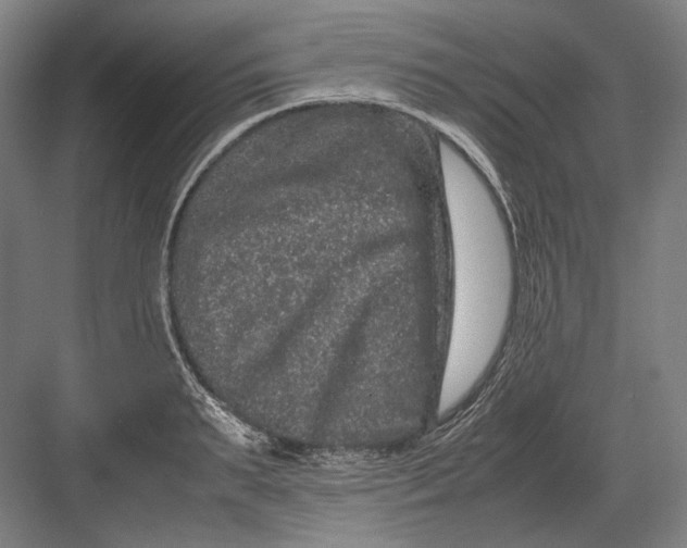 X0000082200895200702092358