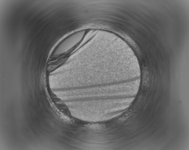 X0000082200896200702092358