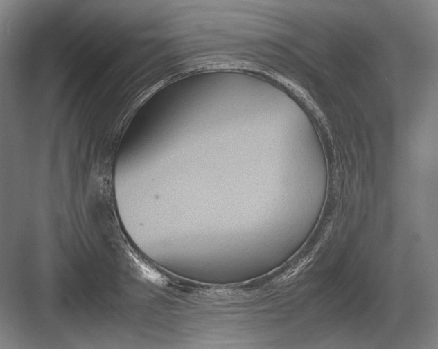 X0000082200897200702092358