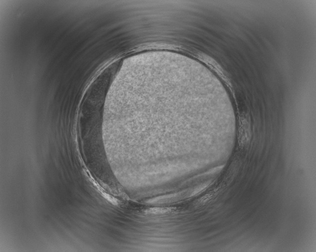 X0000082200898200702092358