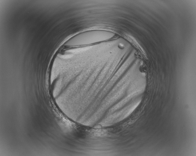 X0000082200900200702092358