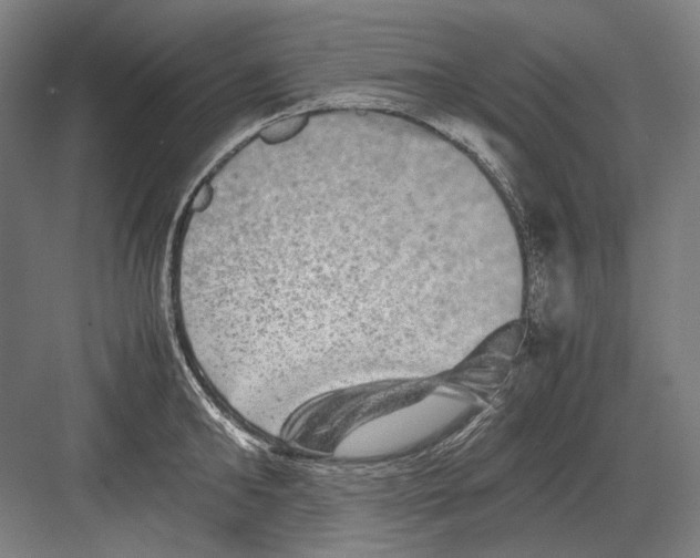 X0000082200902200702092358