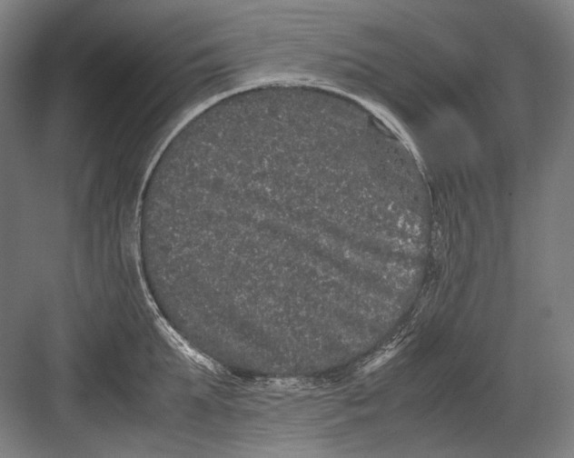 X0000082200903200702092358