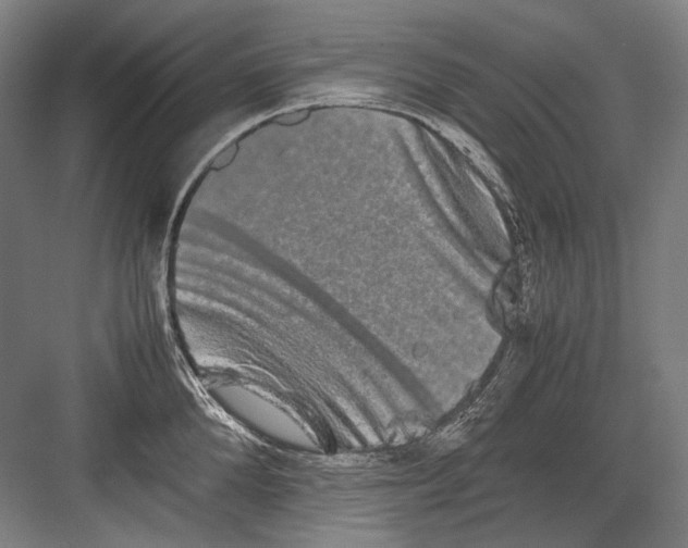 X0000082200904200702092358