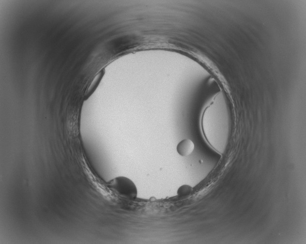 X0000082200905200702092358