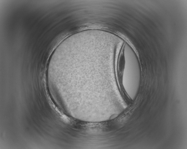 X0000082200906200702092358