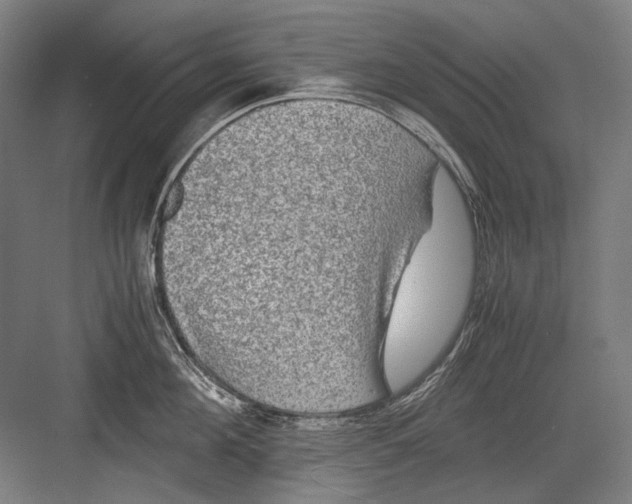 X0000082200908200702092358