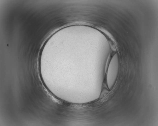 X0000082200910200702092358