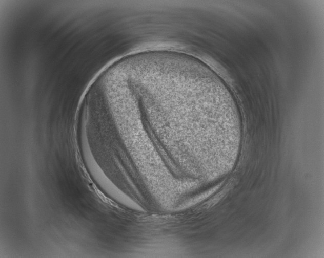 X0000082200912200702092358