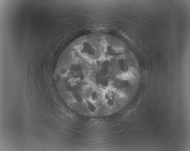 X0000082200913200702092357